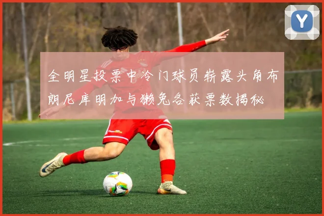全明星投票中冷门球员崭露头角布朗尼库明加与獭兔各获票数揭秘